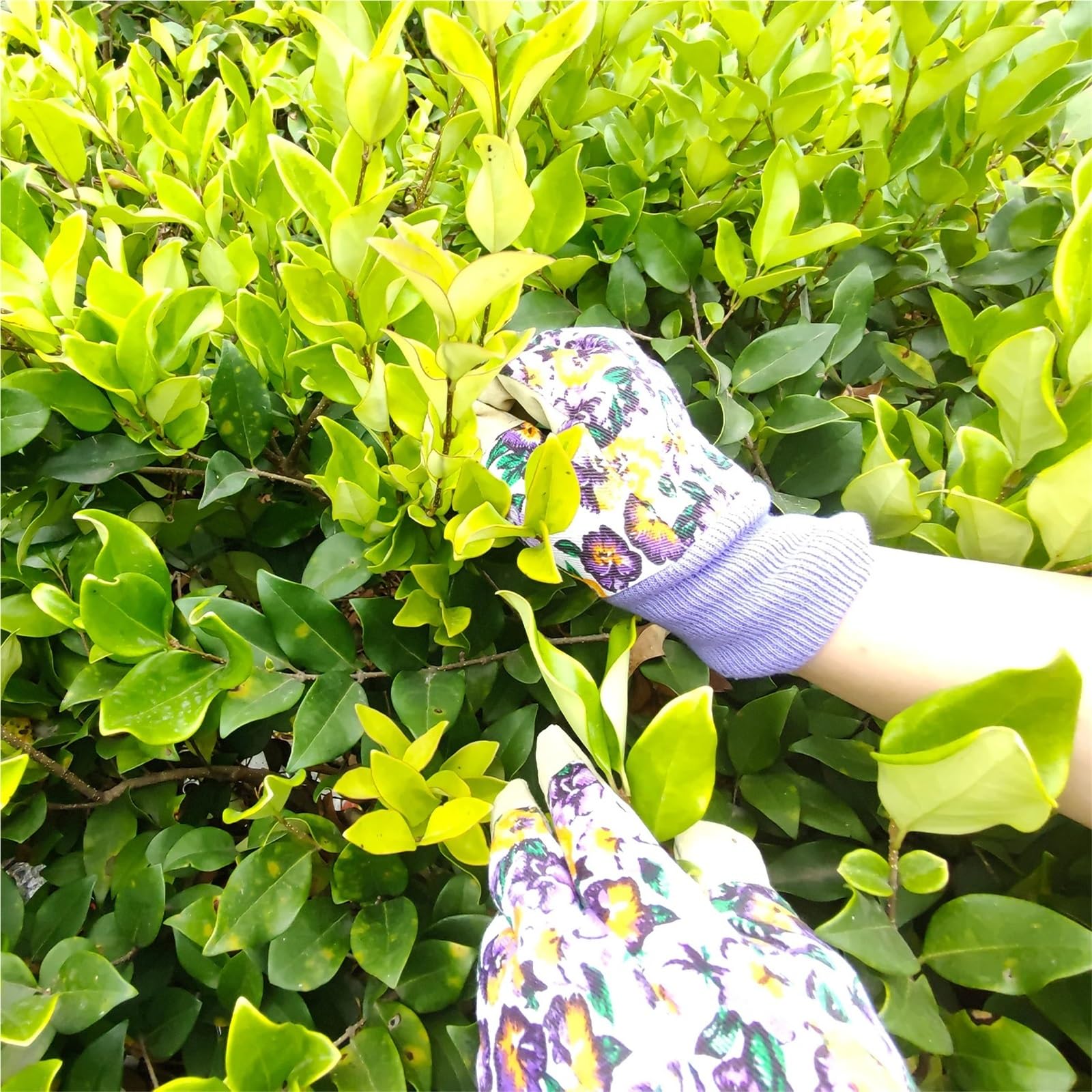 Gartenhandschuhe 2 Paar echte, dornensichere Damen-Lederhandschuhe for den Garten, leichte Arbeitshandschuhe, Gartengeschenke for Frauen Arbeitshandschuhe Herren(Yellow)