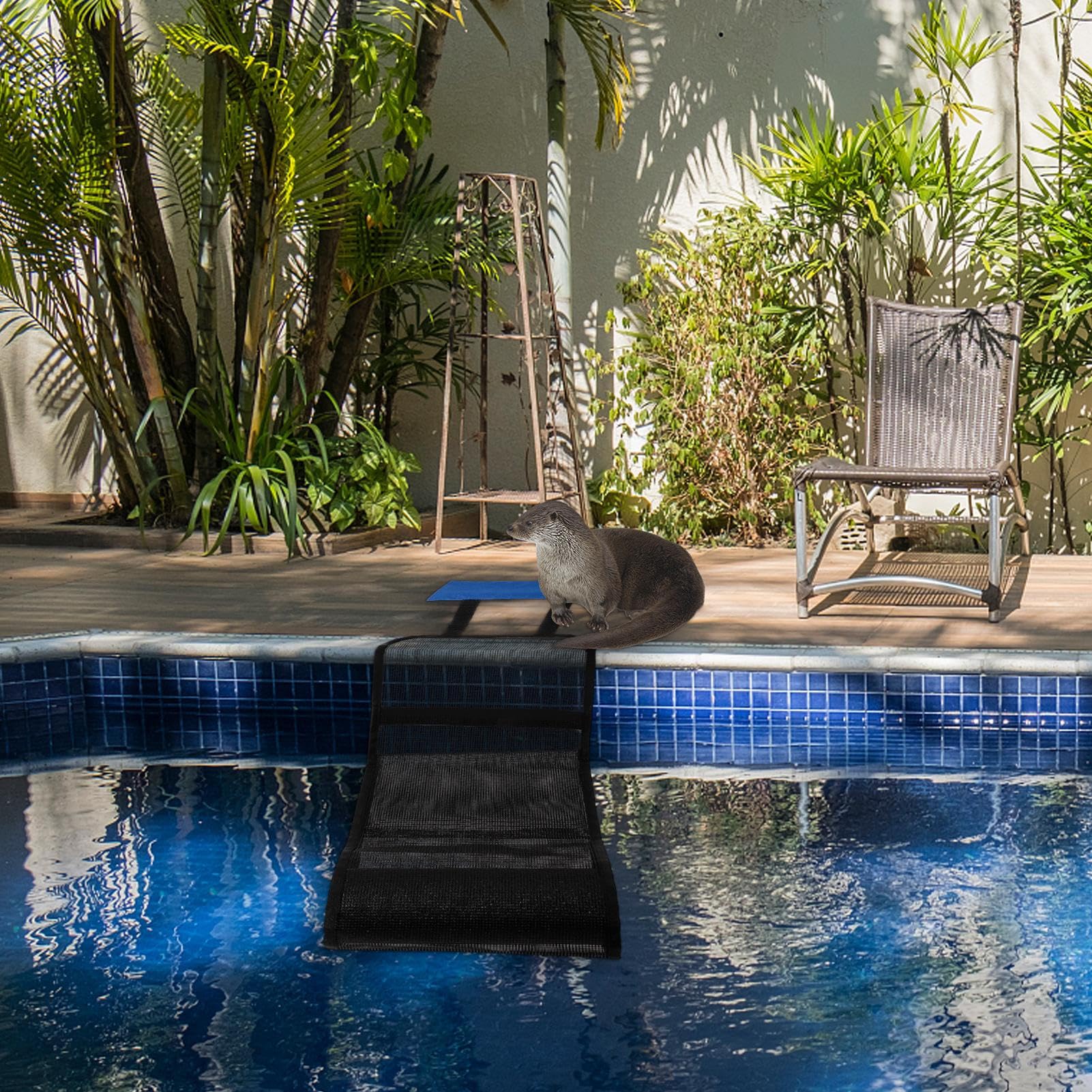 Rampe D'évasion Animale - Économiseur De Créature De Piscine