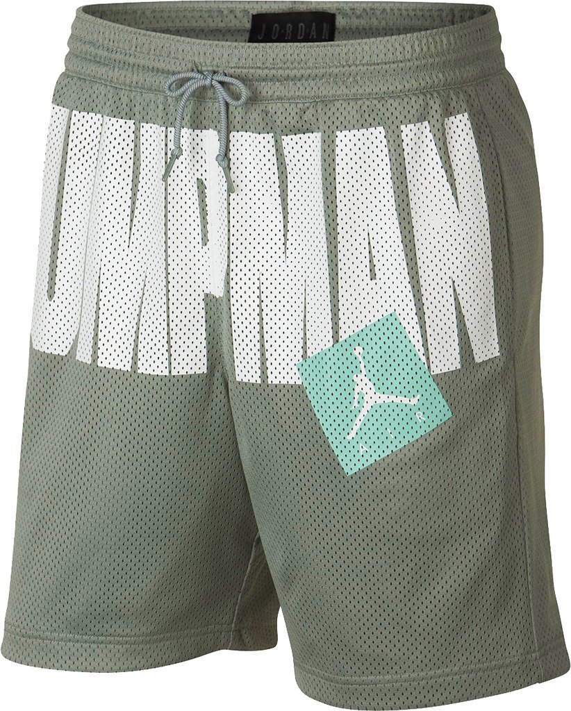 jumpman air mesh shorts