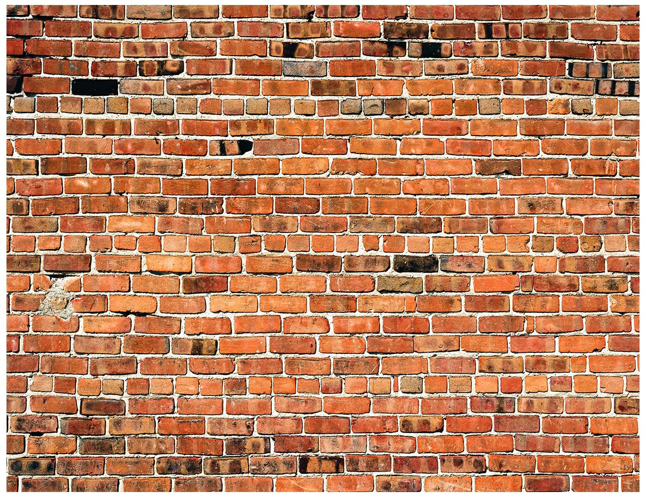 YYNXSY 7X5FT Brick Wall Backdrop Brick Backdrop Brick Wall Brick Photo Background Brick Backdrops for Photoshoot Brick Photography Backdrop Red (
