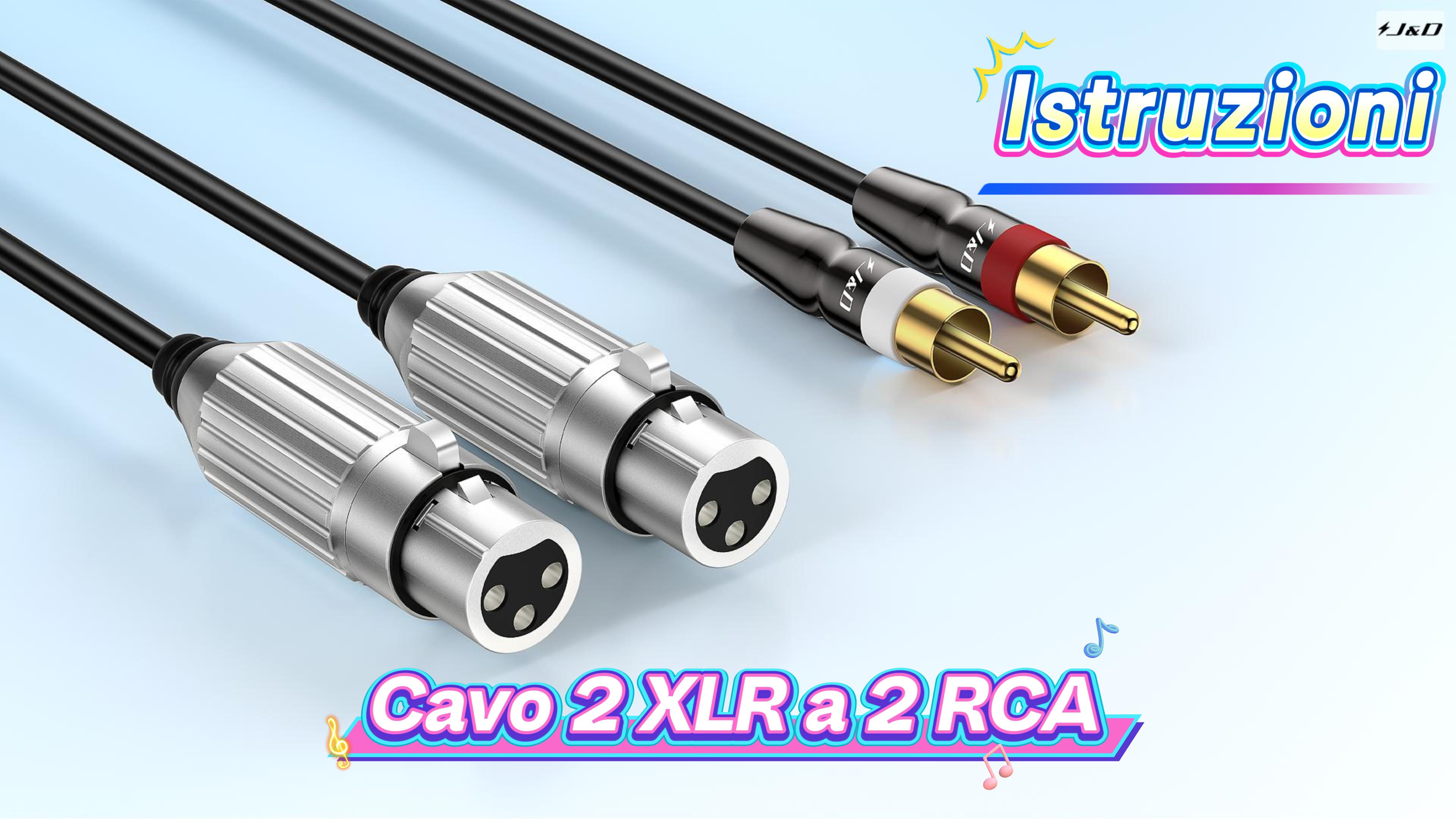 Cavo da RCA a XLR 2RCA maschio a 2XLR maschio cavo Audio Stereo per altoparlante amplificatore microfono lettore DVD Controller DJ