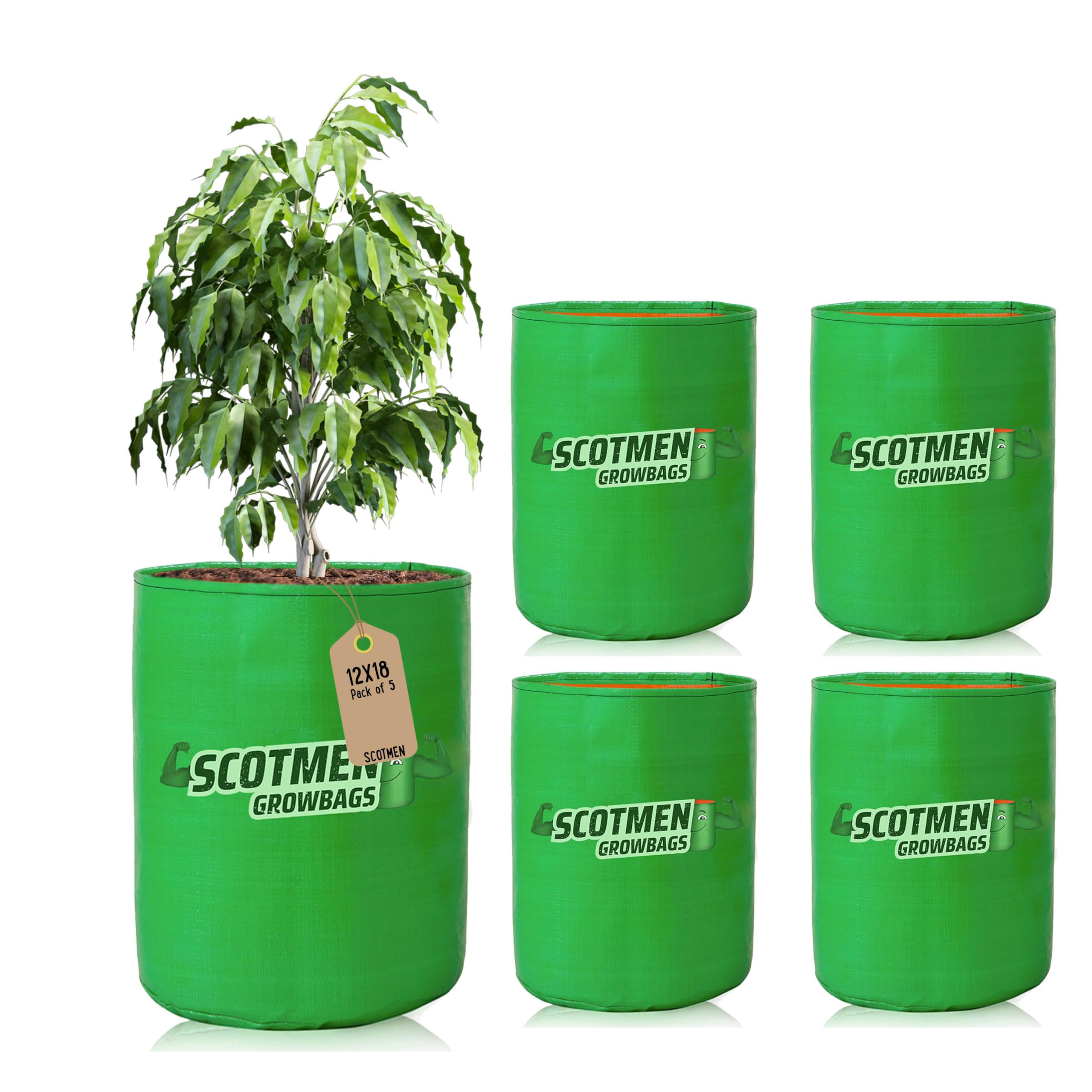 See full amazon price history chart for SCOTMEN HDPE UV Protected Round Shaped Green Colour Plants Grow Bag Suitable for Terrace and Vegetable Gardening 12x18 Inch Pack of 5 Grow Bags SCOTMEN HDPE UV Protected Round Shaped Green Colour Plants Grow Bag Suitable for Terrace and Vegetable Gardening 12x18 Inch Pack of 5 Grow Bags (B085414JBD) Amazon Price History, Amazon Price Tracker