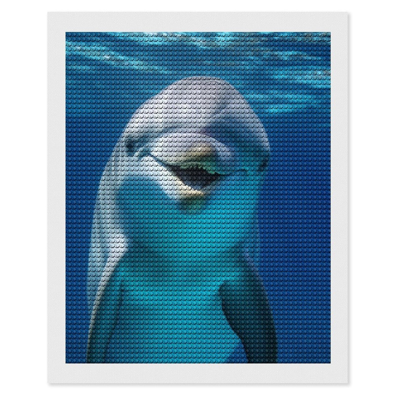 FodPand Diamond Art Kits for Adults, 5D Aurora Diamond Painting Kits for Beginners, Dolphin with Smile DIY Full Drill Dots Gem Art Paint Crafts for Home Wall Decor 16"x20"