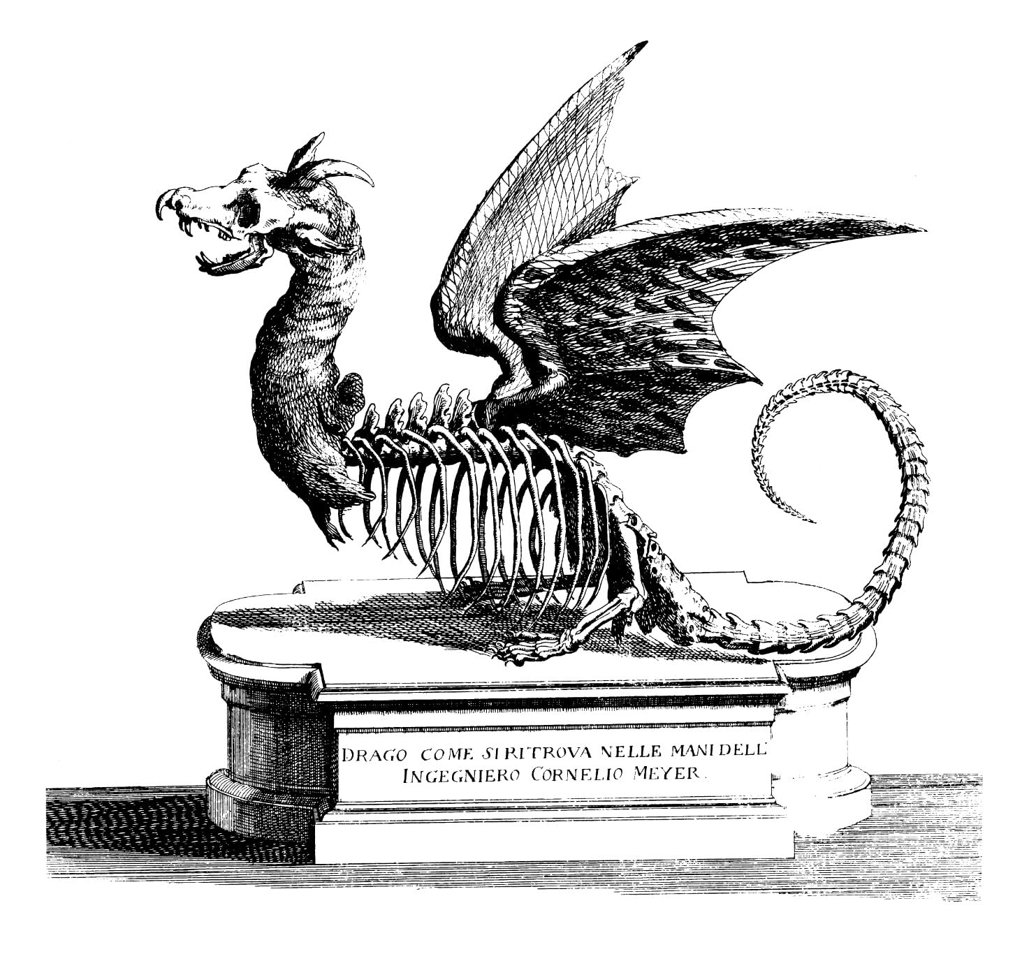 Bought on Kindle, GREAT digital download