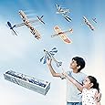 PLAYSTEM Balsa Wood Glider Kit