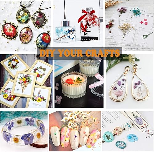 Miniatura 4 de 146 piezas de flores prensadas moradas para moldes de resina, surtido de flores secas naturales reales, hojas, calcomanías de mariposa para