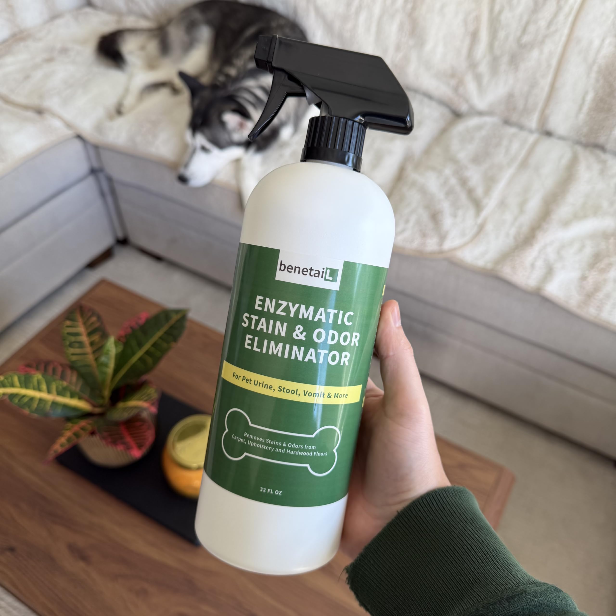 Eliminador enzimático de manchas y olores para mascotas para olores fuertes en el hogar, limpiador de alfombras para orina de perros y gatos, spray de 32 onzas