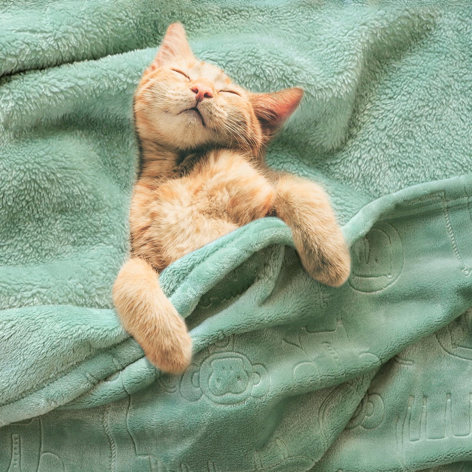 BORITAR Baby Blanket for Boys Girls Ultra Soft Fleece Warm and Lightweight Animal Blankets for Infant Toddler Newborn, 30x40 Inch, Sage Green