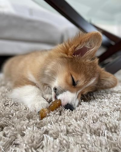 Vista 14 de Nylabone - Juguete masticable para cachorros, suministros para cachorros – Sabor a pollo, XL/Souper (1 unidad)