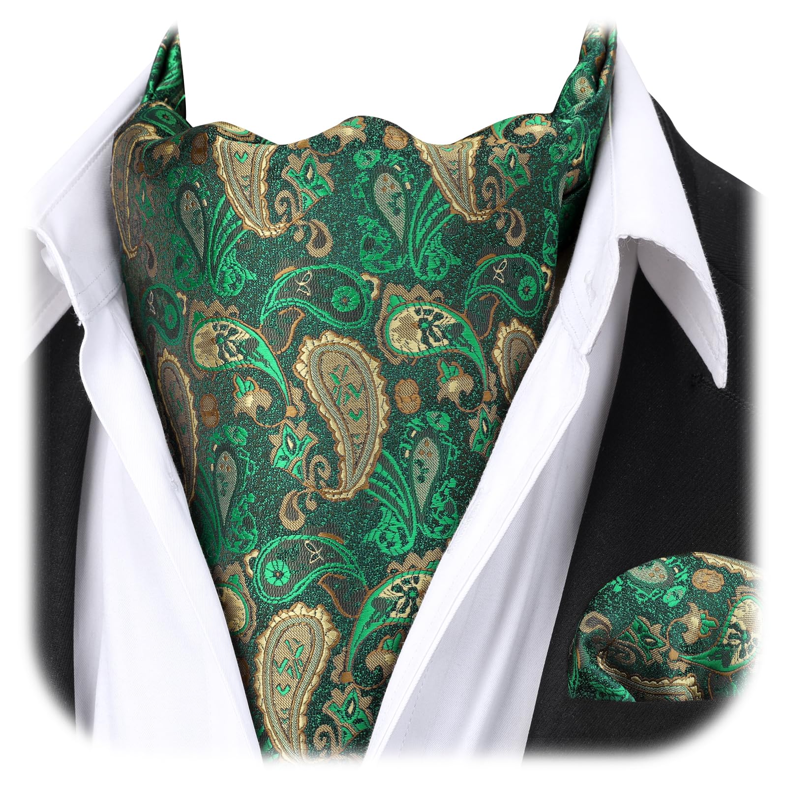 HISDERN Ascot Ties for Men Paisley Floral Ascot and Pocket Square Set Classic Self Tie Mens Cravat Handkerchief for Wedding