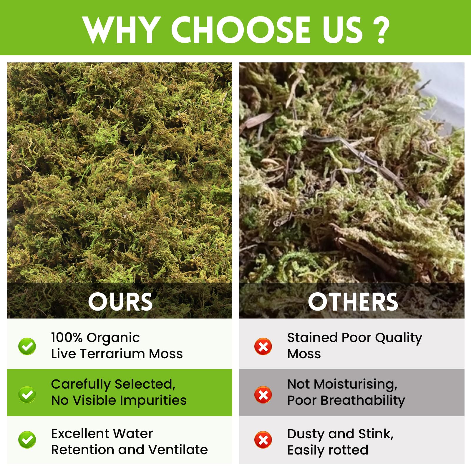Riare 3.5 OZ Premium Sphagnum Moss for Reptiles- 4QT Natural Live Moss Reptile Moss Bedding for Terrarium, Hatching, Forest Sphagnum Moss Reptile Substrate for Snakes, Gecko, Turtles, Frogs, Leopard - image 5