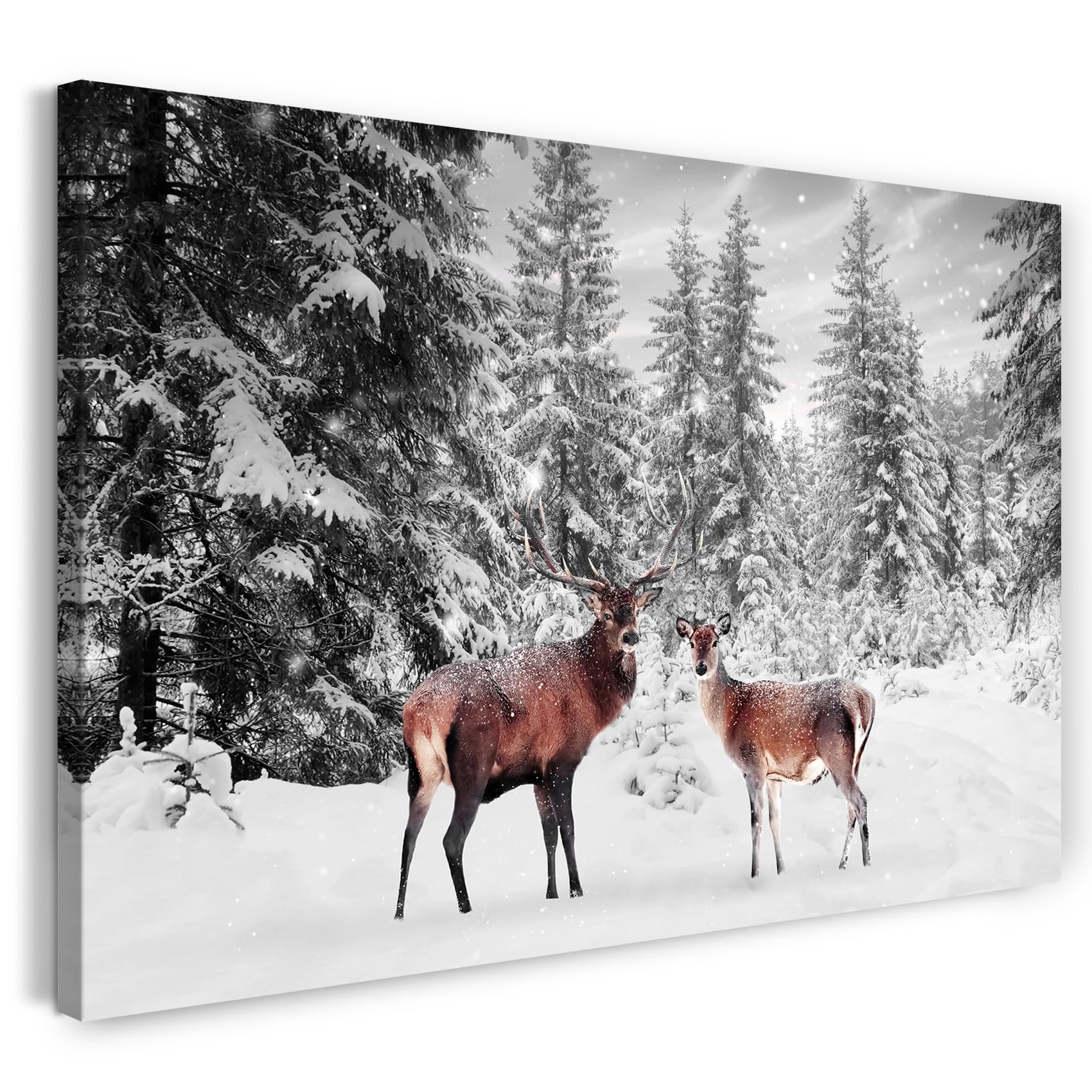 Print on Canvas (80x60 cm) deer in the snow, animal photography, deer and doe in the fir forest, real wood frame with hook