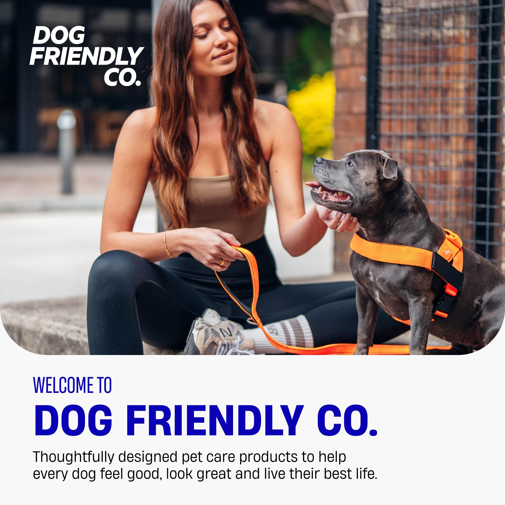 DF Co. Collar táctico para perro, cómodo y seguro, con hebilla de clip de liberación rápida y anillo en D resistente, neopreno acolchado suave, resistente a rozaduras, visibilidad nocturna, camuflaje