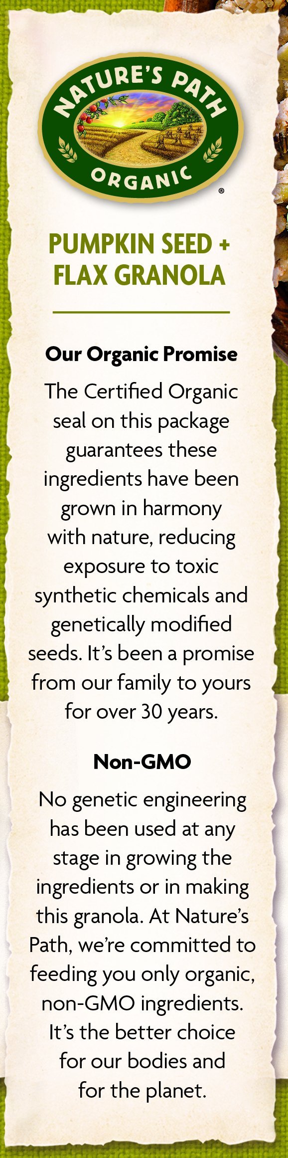 Nature's Path Organic Pumpkin Seed + Flax Granola - 12 Pack Non-GMO Breakfast Cereal