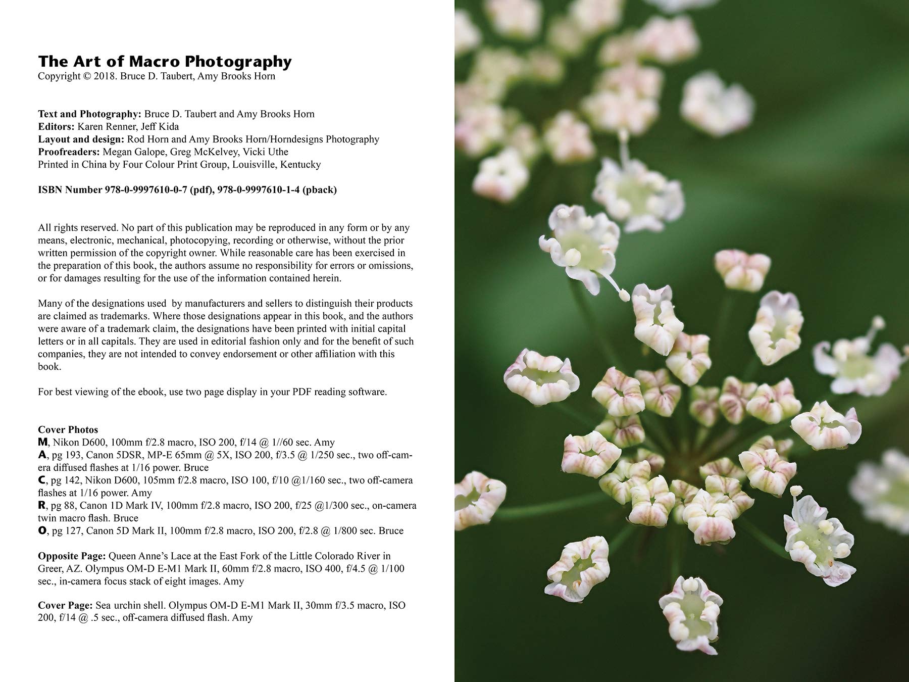The Art of Macro Photography Book