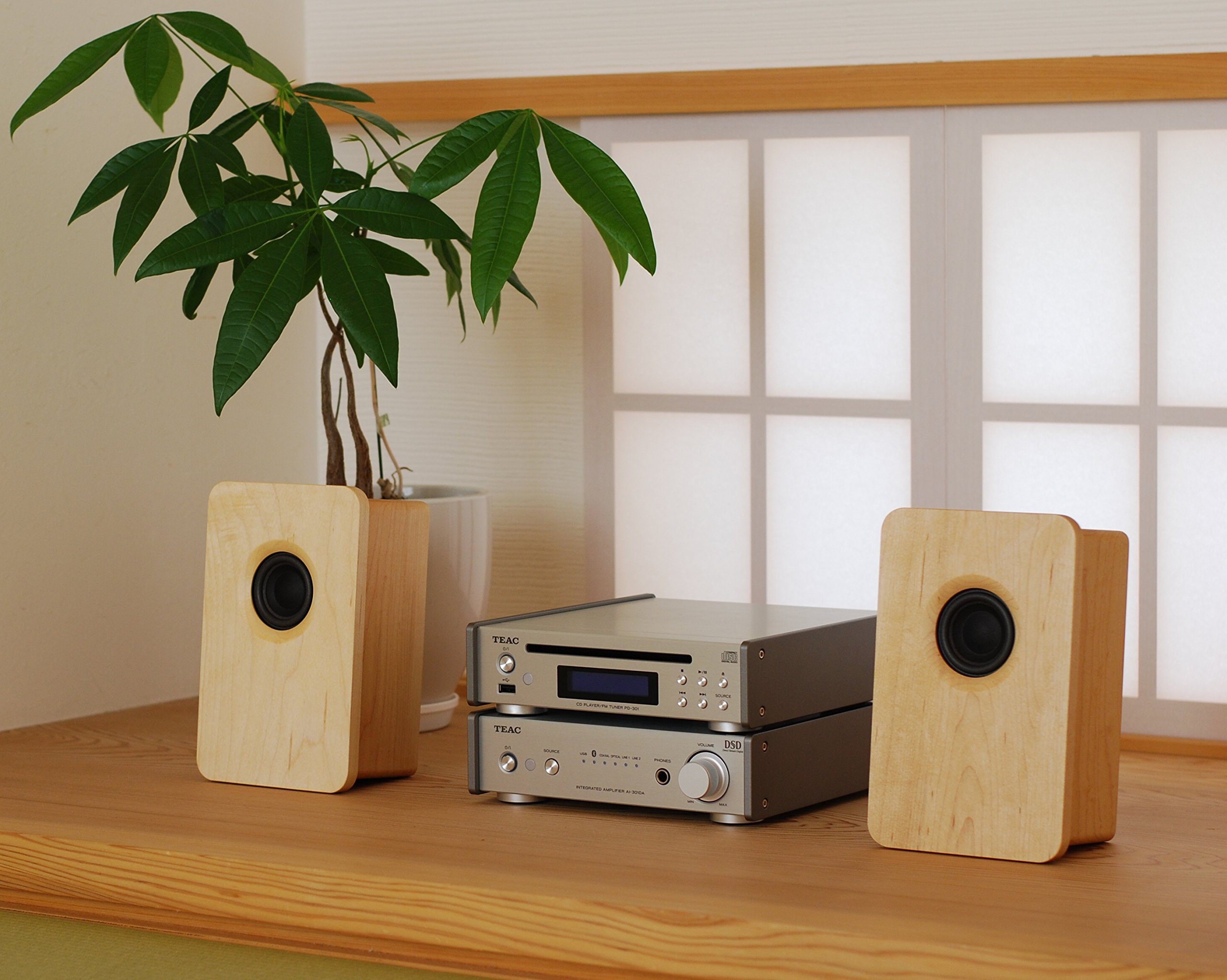 Amazon | 宗七音響 model 216 デスクトップパッシブスピーカー