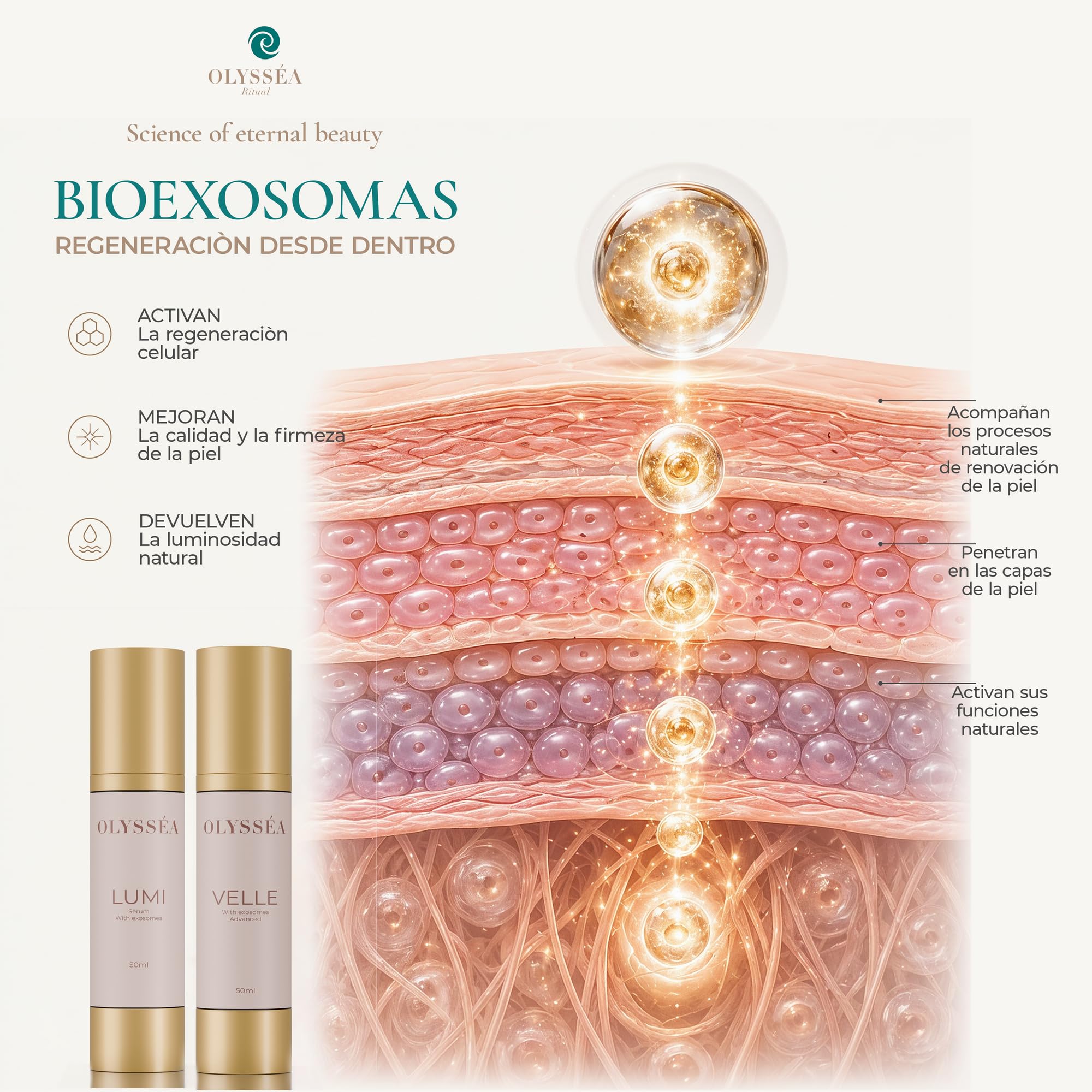 Rutina Diaria Exosomas | Regeneración Celular desde dentro | Acido Hialuronico Serum Facial | Crema Hidratante Facial Mujer | Skin Care Resultados 60 Días | Piel Luminosa y Elastica