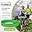 FlipBelt Classic Running Belt for Phone and Small Accessories, Exercise Waist Pouch for Women and Men, XS, Neon Green
