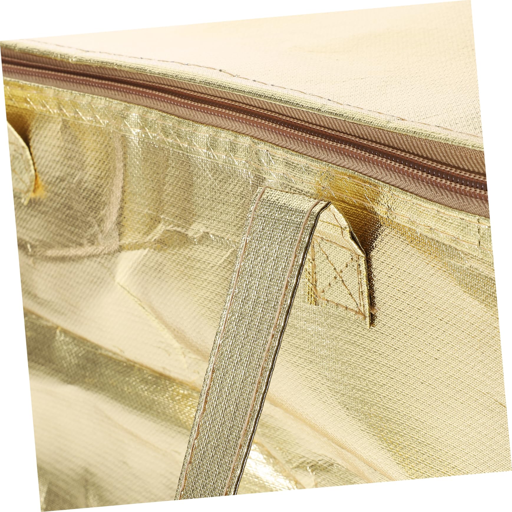 Ciieeo Insulated Food Bag Large Capacity Thermal Pouch for Pizza Seafood Portable Cake Storage Reusable Grocery Bag with Zipper for Parties Picnics