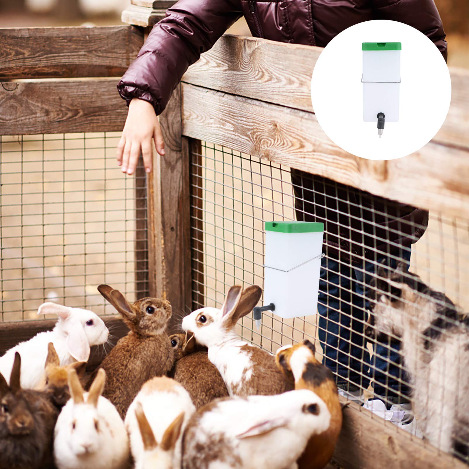 POPETPOP 3pezzi Dispenser Per Conigli Abbeveratoio Pet Perdite Facile Materiali Ecologici Per Domestici Come Conigli e Roditori