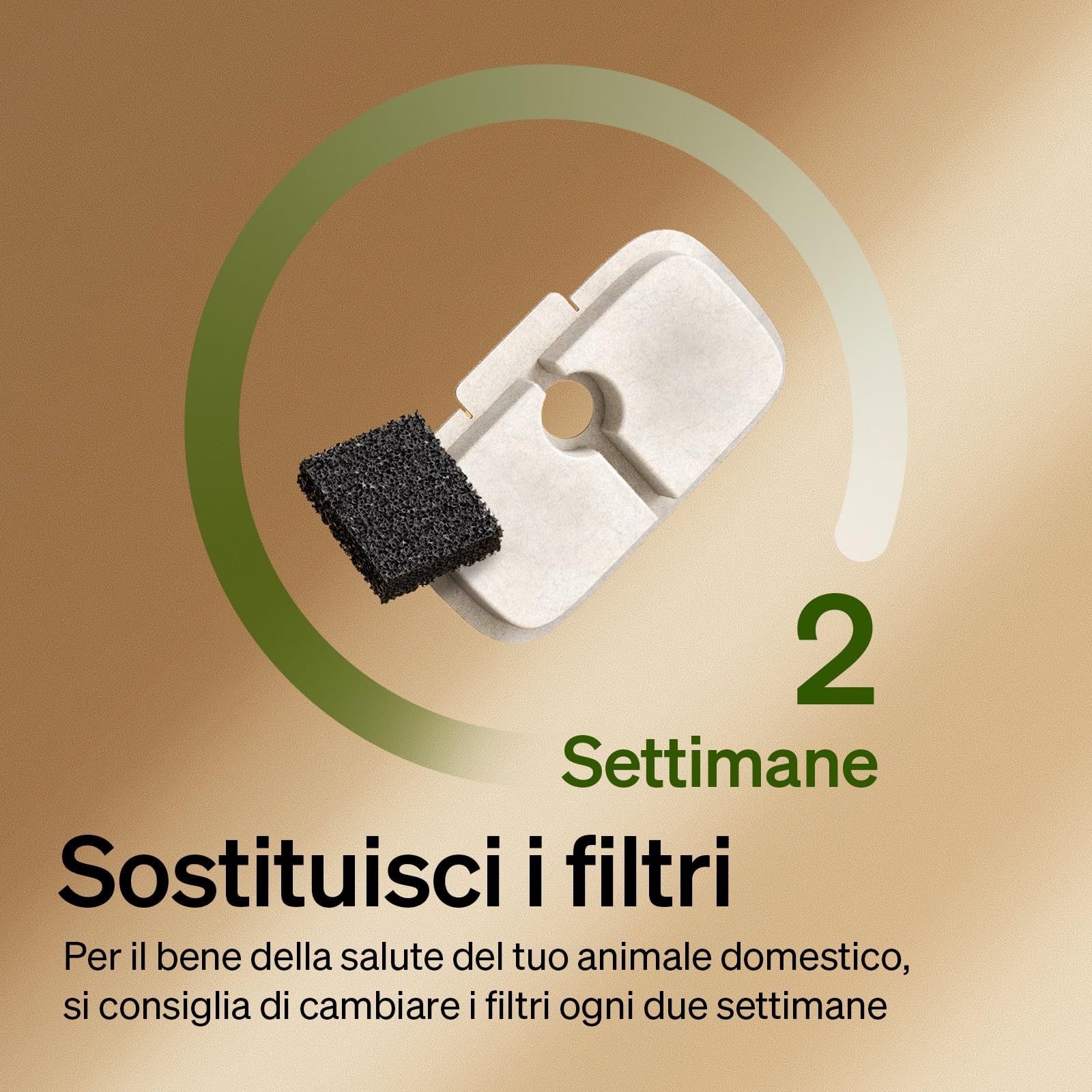 PETLIBRO Filtro Fontanella per Gatti, 8 Filtro di Ricambio per Fontana per Gatti Dockstream PLWF005, PLWF115, PLWF105, Filtro con Filtrazione Verticale per Fontanella Gatto Fontana Gatto