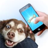 Dog Laser - Game for Dogs