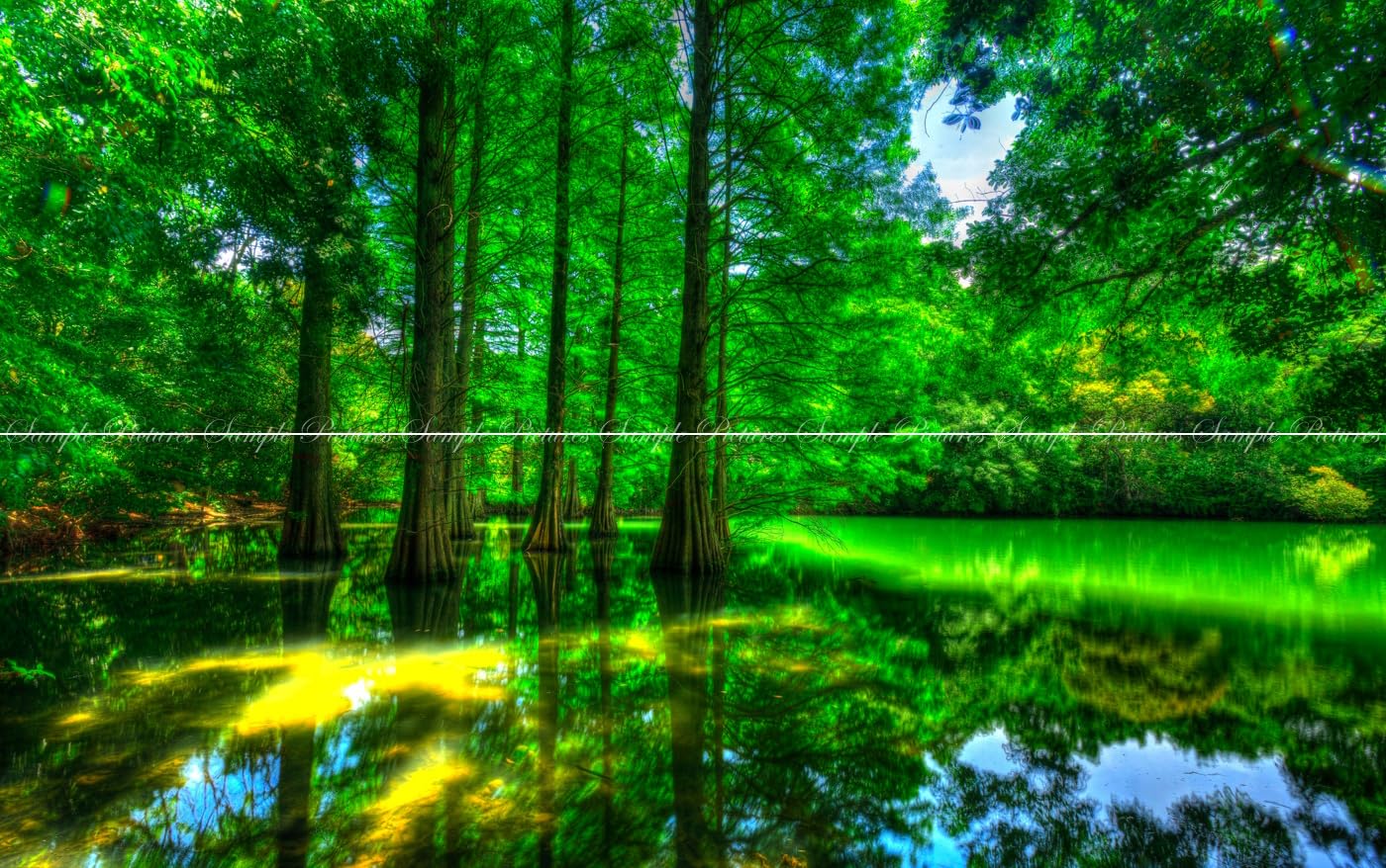 Amazon.co.jp: 絵画風 壁紙ポスター キャラクロ: 森林・紅葉・滝