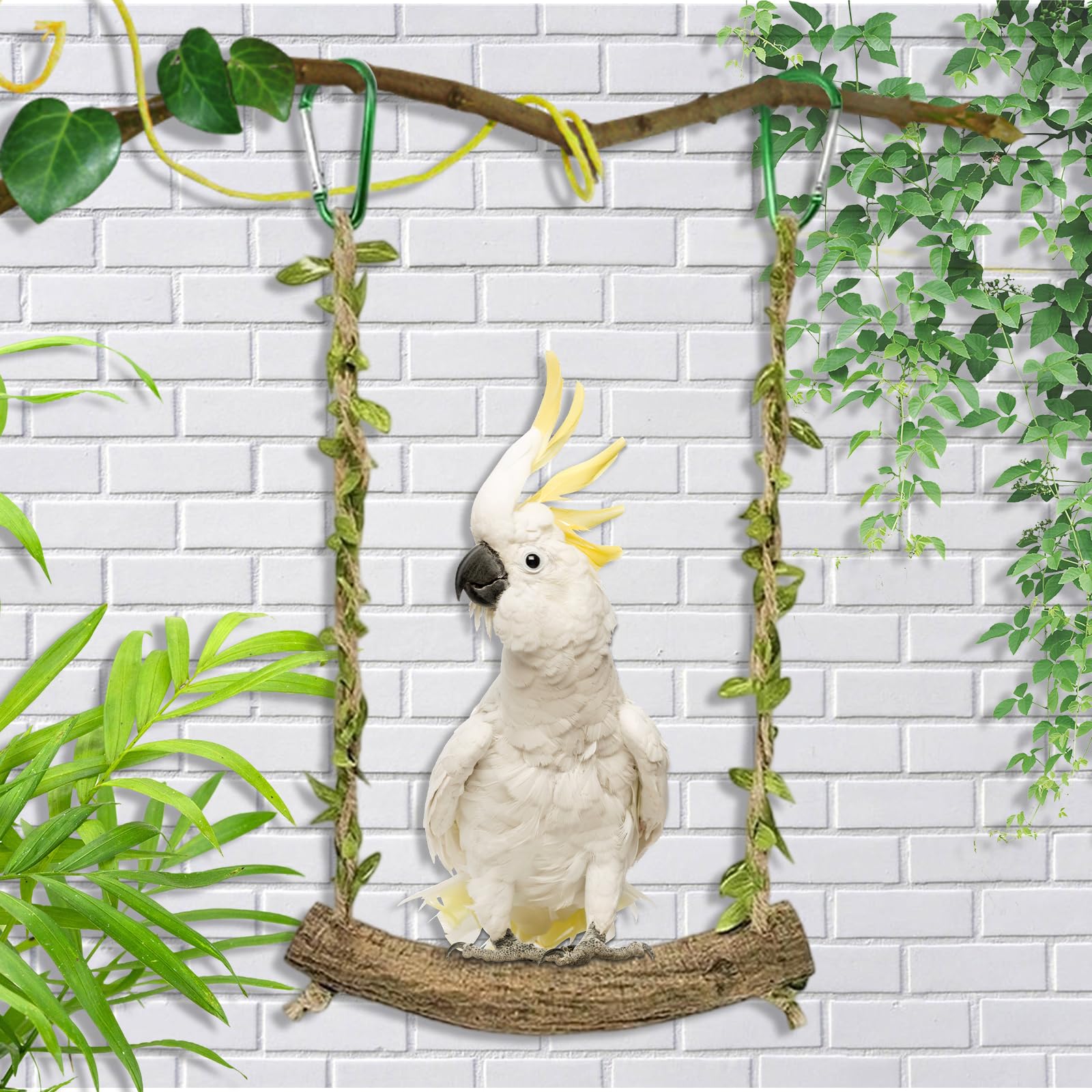 2 Pièces Perchoir Perroquet - BalançOire pour Oiseaux - Jouet Perruche - Accessoires pour Cage à Oiseaux, AdaptéS à Tous LesOiseaux de Petite et Moyenne Taille