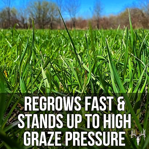 Miniatura 5 de Memas Moo Mix, 50 libras a granel, mezcla de semillas de pasto agrícola para caballo, ganado, cerdo, cabra, pollo, pato, oveja y ganado, cultivo de