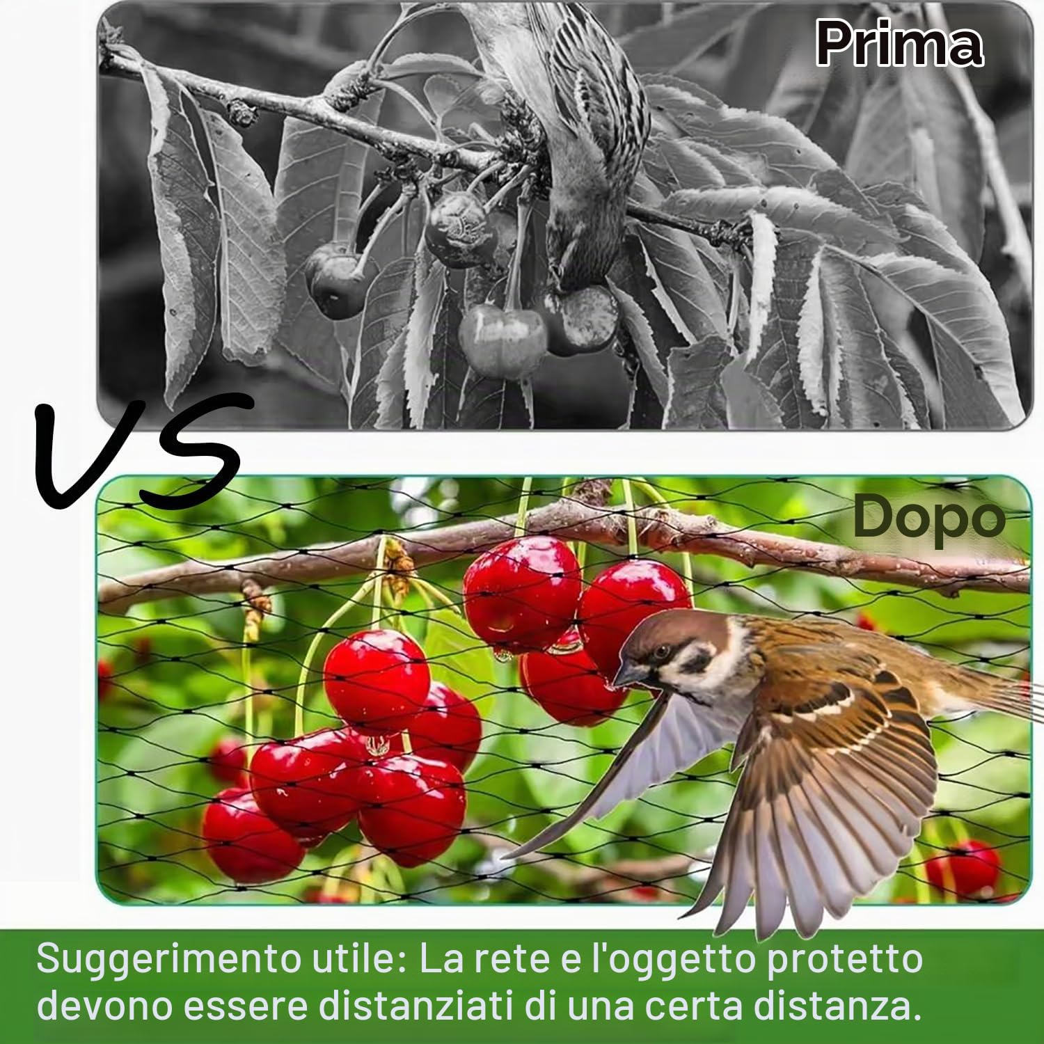 30x15m Rete Anti Piccioni，Rete Antigrandine，Maglia 5x5cm Adatto a Tutti Tipi di Giardini Recinzioni,Retes di Protezione Antis Uccelli per Piante con Chiodi di Terra e Fascette,Nero