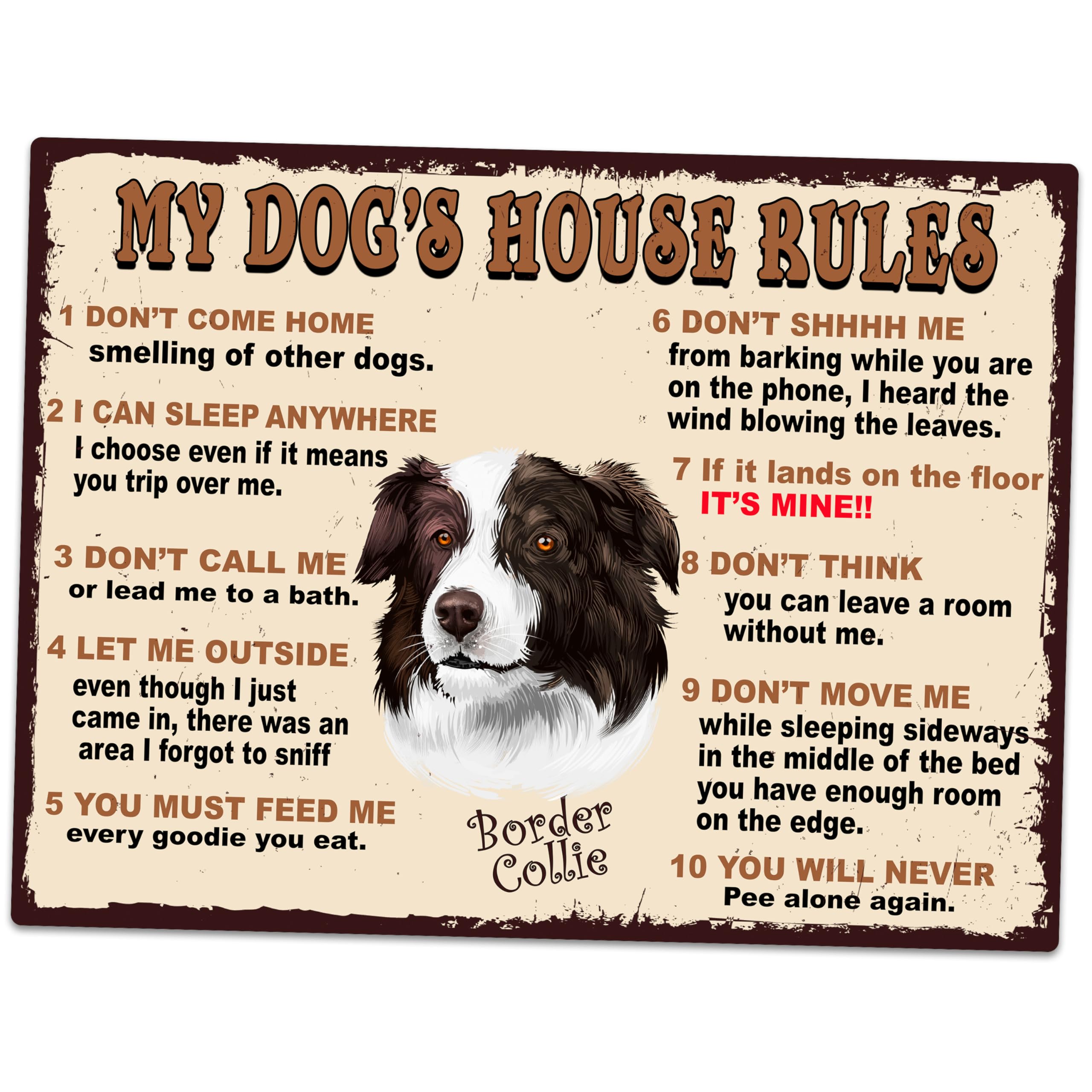 MY DOG'S HOUSE RULES BORDER COLLIE THEME METAL RETRO STYLE PLAQUE/SIGN HOME DECOR SHABBY CHIC ART (10" X 8")