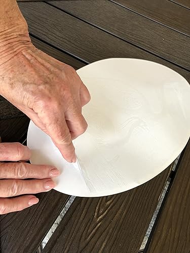 Miniatura 5 de DCentral Colibrí II  Vinilo decorativo para ventana "grabado"  8 x 12 pulgadas. Los objetos son opacos, el fondo es transparente