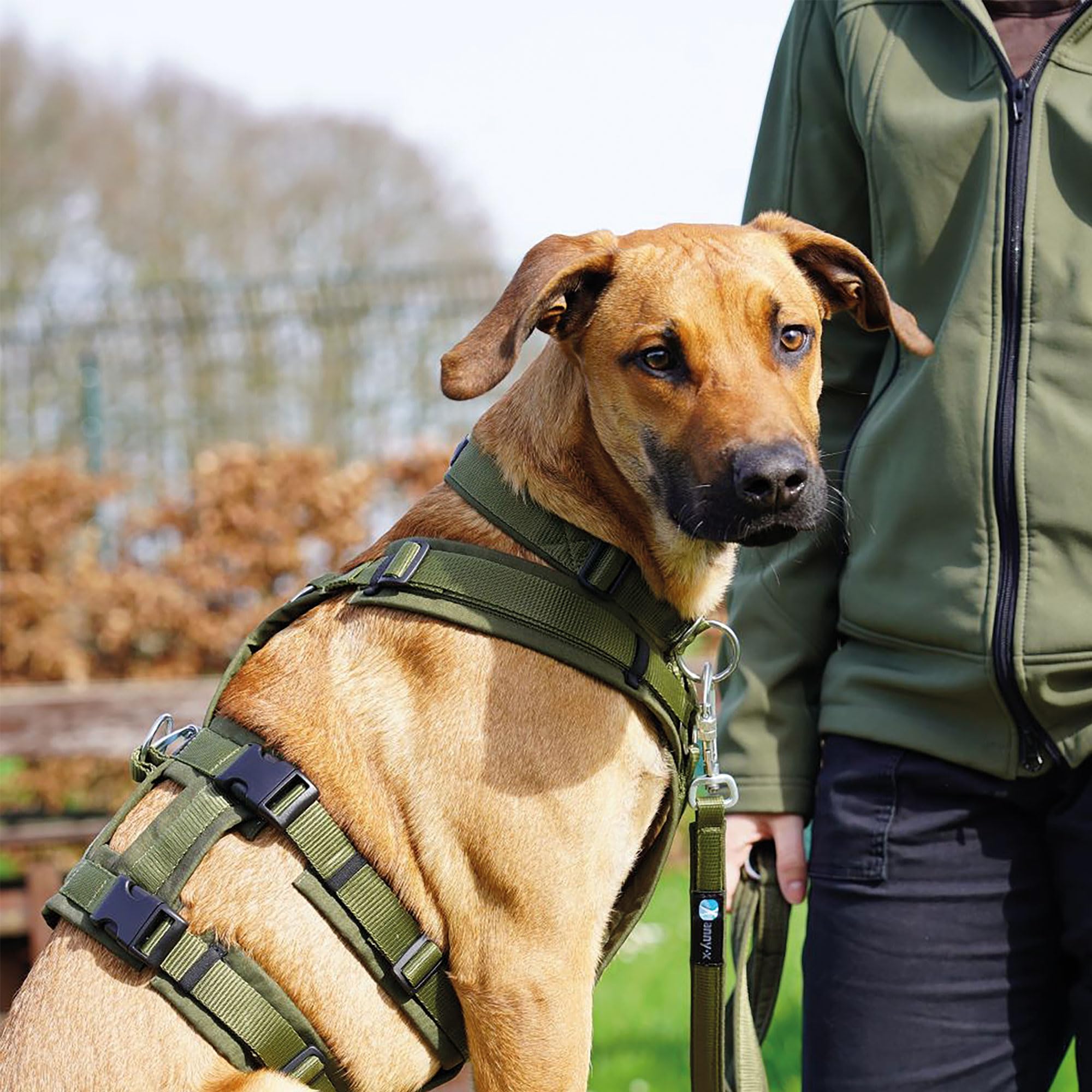 Annyx Brustgeschirr Safety Fun für Hunde - Bernstein Gr. M - Vollständig Gepolstert