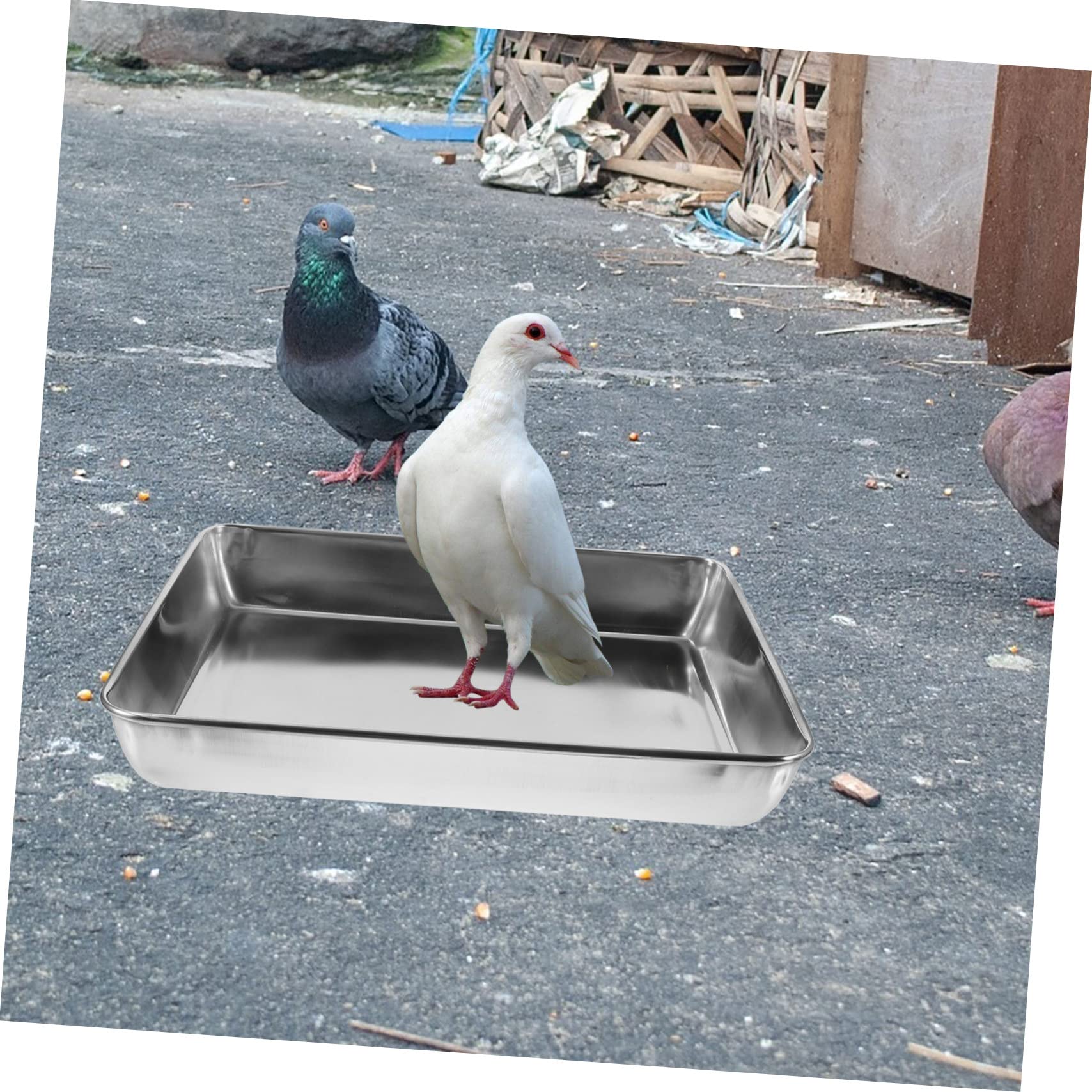 Vogelbadewanne aus Edelstahl für Käfig, Taubendusche Silber