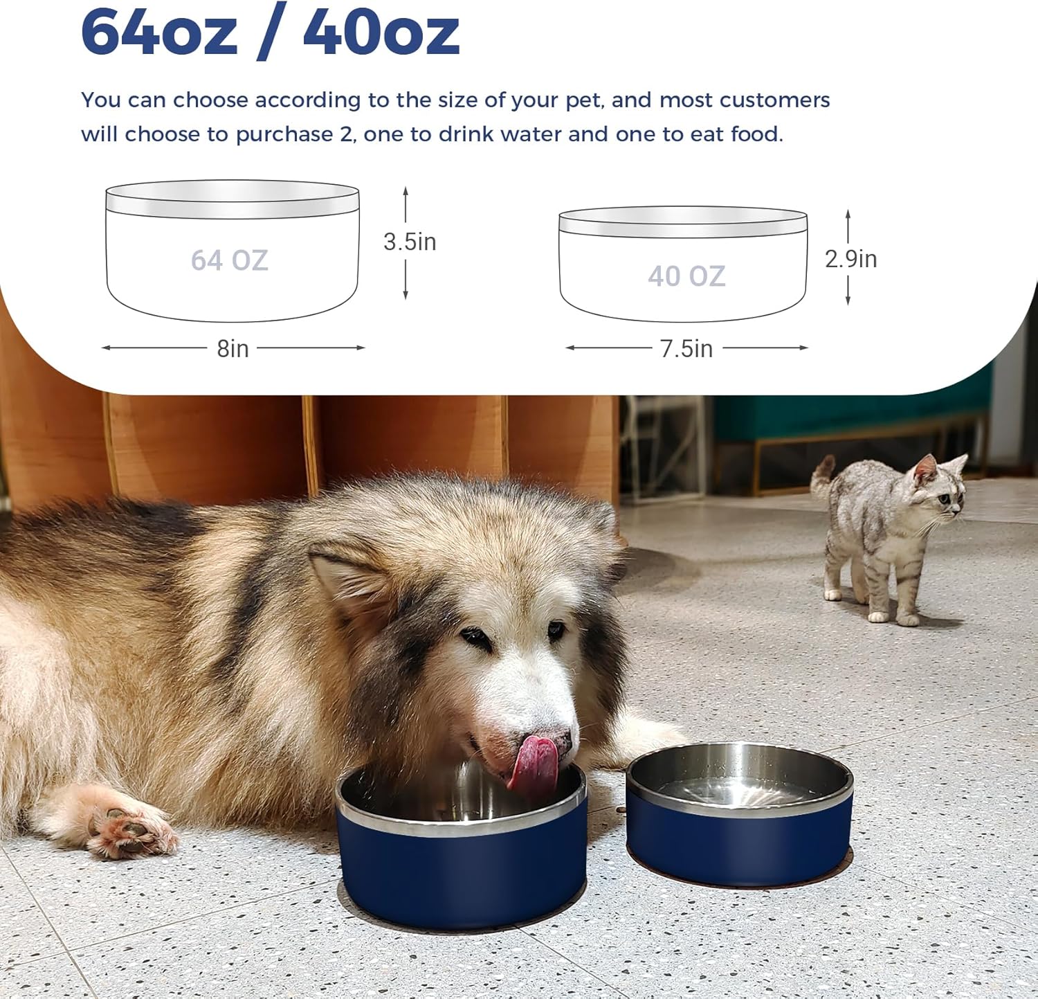 Unleash Convenience: Review of the Non-Slip Stainless Steel Dog Bowl