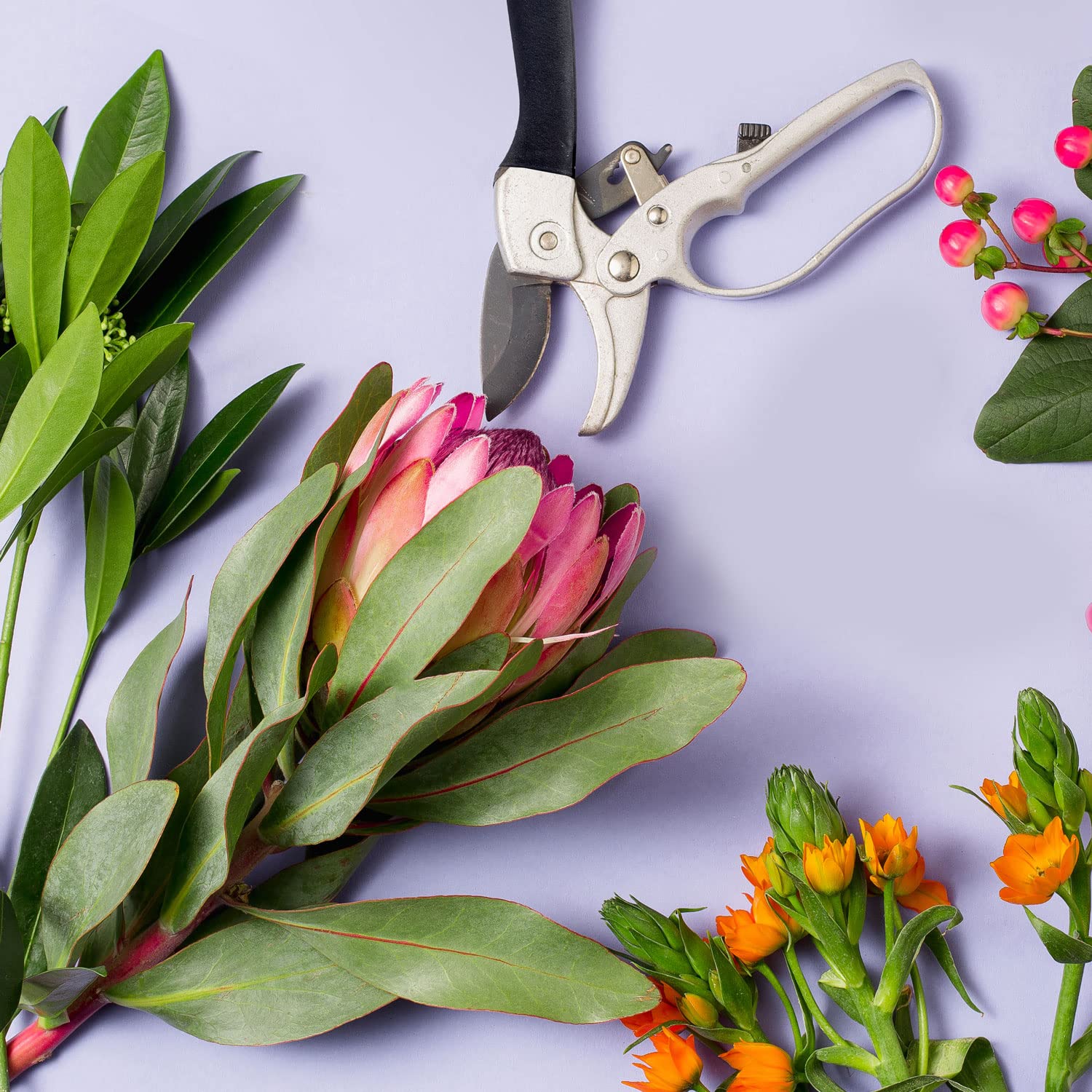 Gartenschere Set 2-tlg. - Blumenschere & Astschere Edelstahl Einhandbedienung