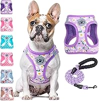 Vista 18 de BEAUTYZOO - Juego de arnés y correa para perros y gatos pequeños, extrapequeños y medianos, arnés tipo chaleco fácil de poner, antiasfixia