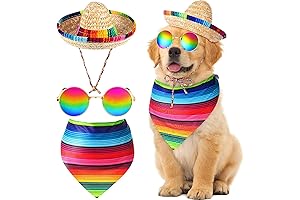 Festive Cinco De Mayo Dog Outfits for a Fiesta Celebration