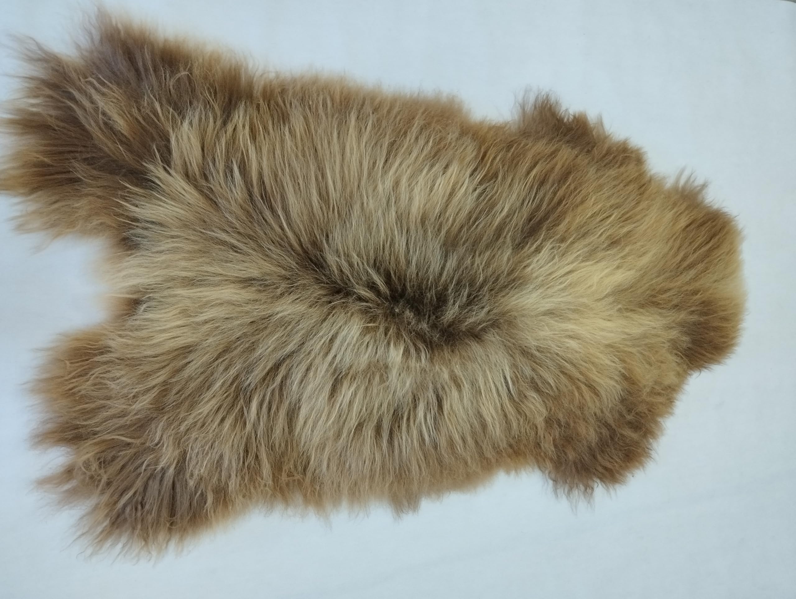 Peau de mouton d'Islande - Véritable fourrure naturelle - Poils longs - Environ 120 x 65 cm - Peau d'agneau douce comme tapis ou fourrure décorative