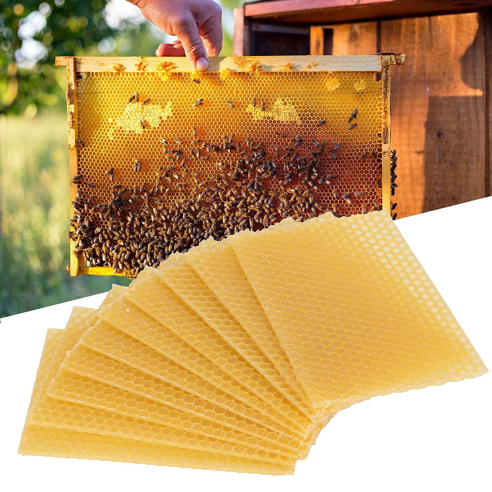 10 arkuszy Naturalna struktura plastra miodu Wosk pszczeli, miodowe płatki wosku pszczelego Podstawa gniazda, pszczelarstwo, baza wosku pszczelego, rama z wosku ula