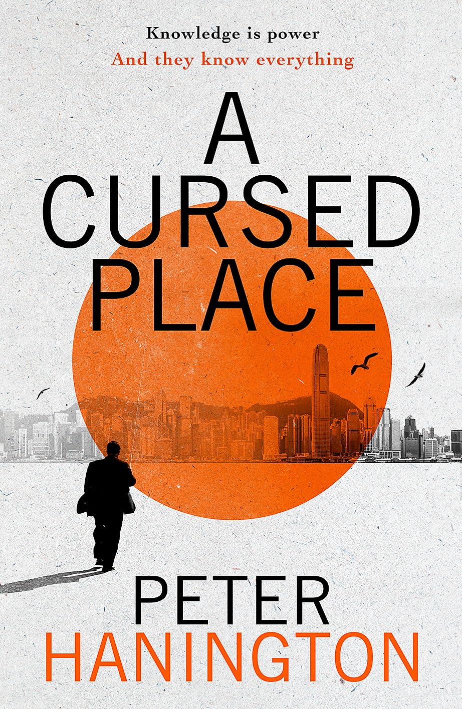 Cursed Place by Peter Hanington (Hardback Book)