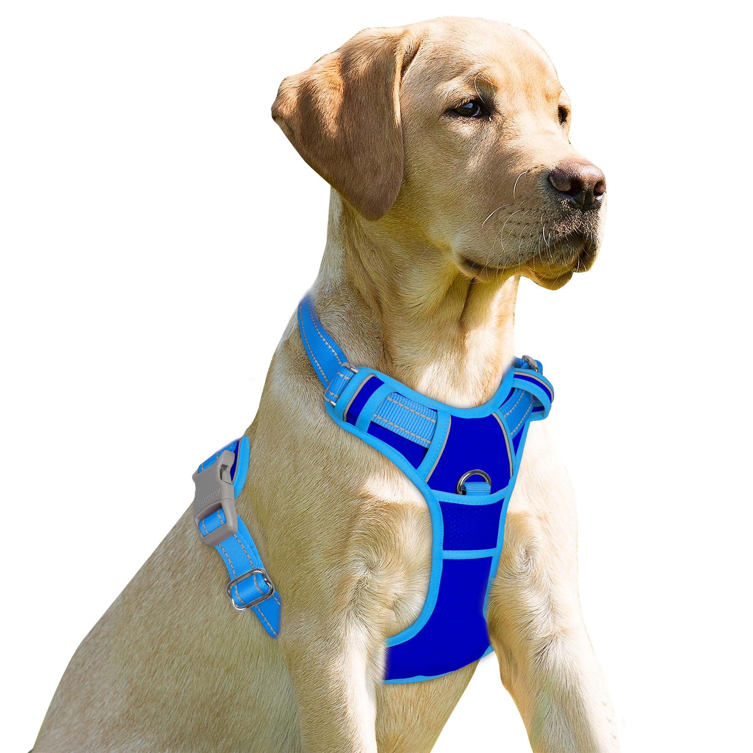 BARKBAY No Pull Dog Harness Front Clip Heavy Duty Reflective Easy Control Handle for Large Dog Walking(Sapphire Blue & Blue,S) โ image 1