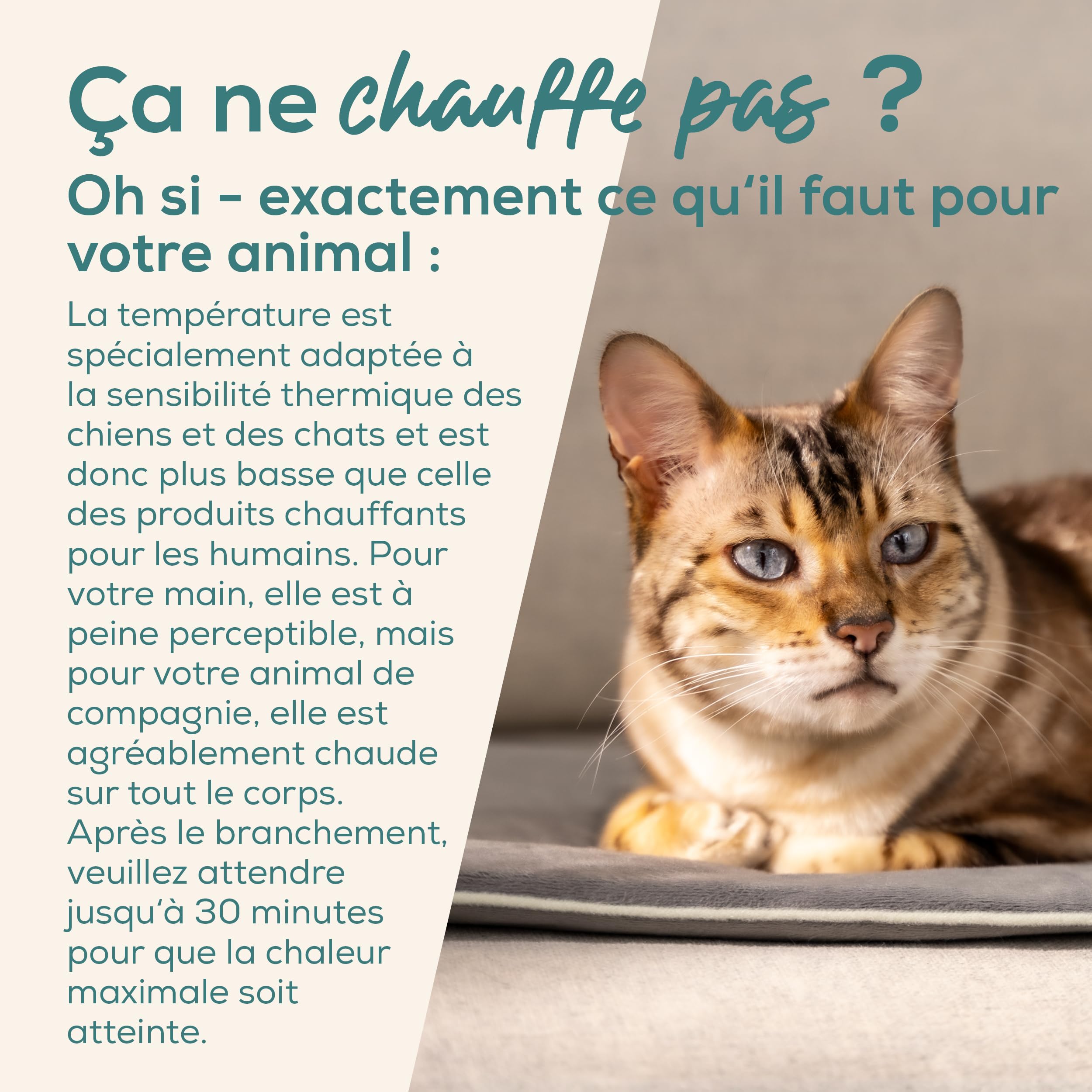 Beurer Love Your Pet Tapis Chauffant S « Lilli » pour Chiens et Chats, avec minuteur, Petite Couverture pour Chien, Lavable à 30 °C, résistant aux Rayures et étanche, 41 x 34 cm
