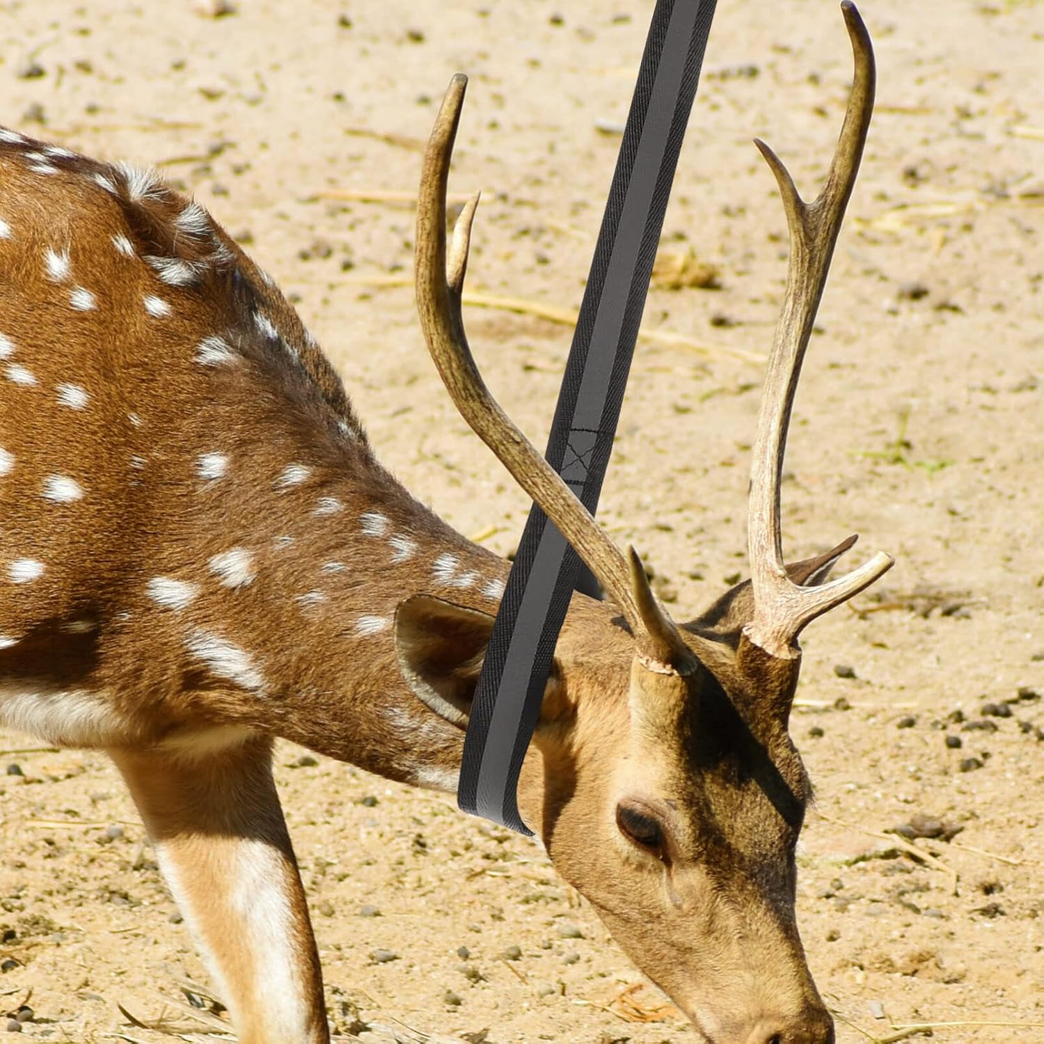 BESPORTBLE Hunting Accessories Deer Heavy Duty Deer Drag Outdoor Hunting Strap Sturdy Rope