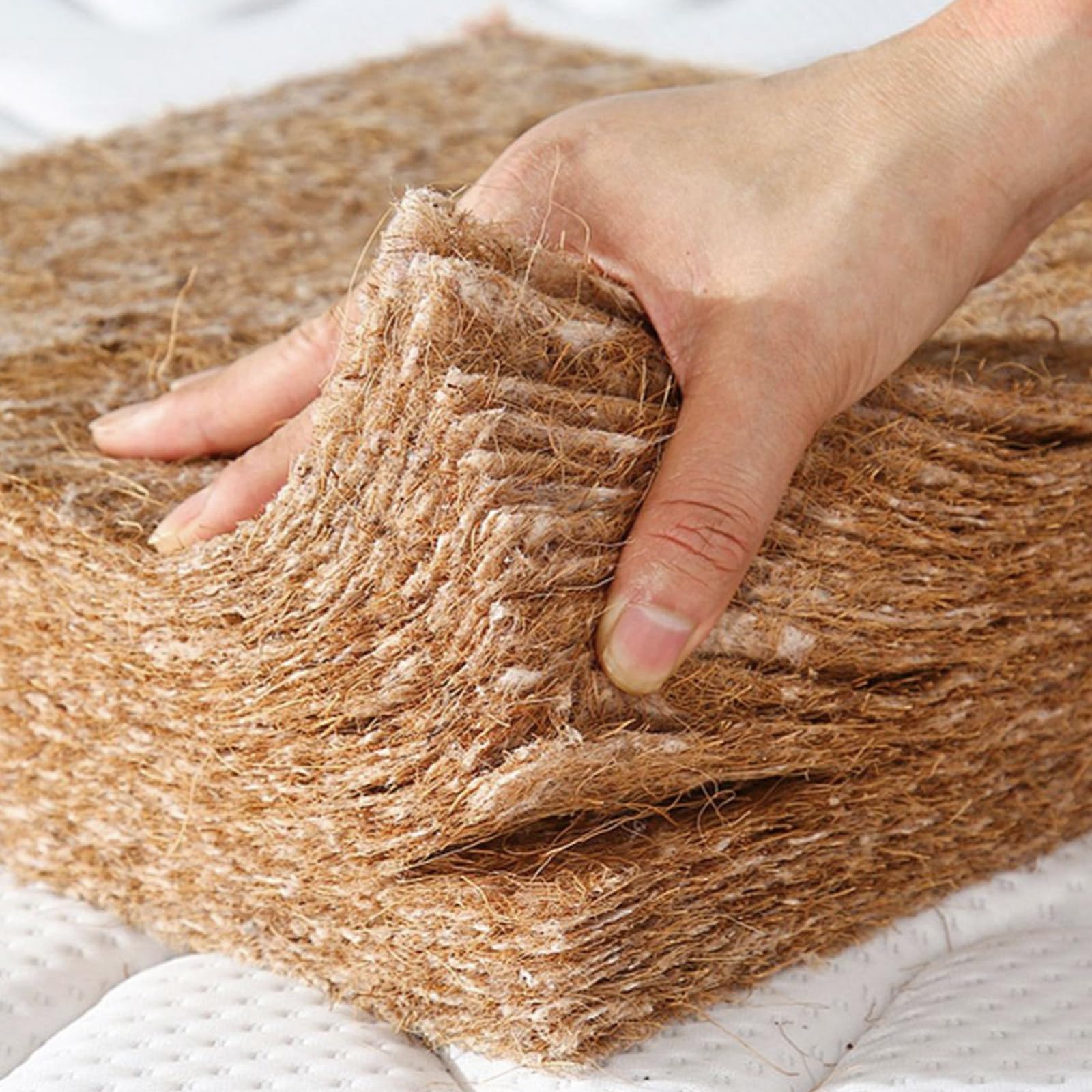 10 Stück Nistkasten Pads für Hühner ，Hühner-Nistkasten-Einlagen，Hühnernest-Unterlage, Nistkasten Pads 12''x12'' für Ei- Nestschutz, Nistkasten-Einlage, Hühnernestmatte, Hühnerstall, Dauerverwendung