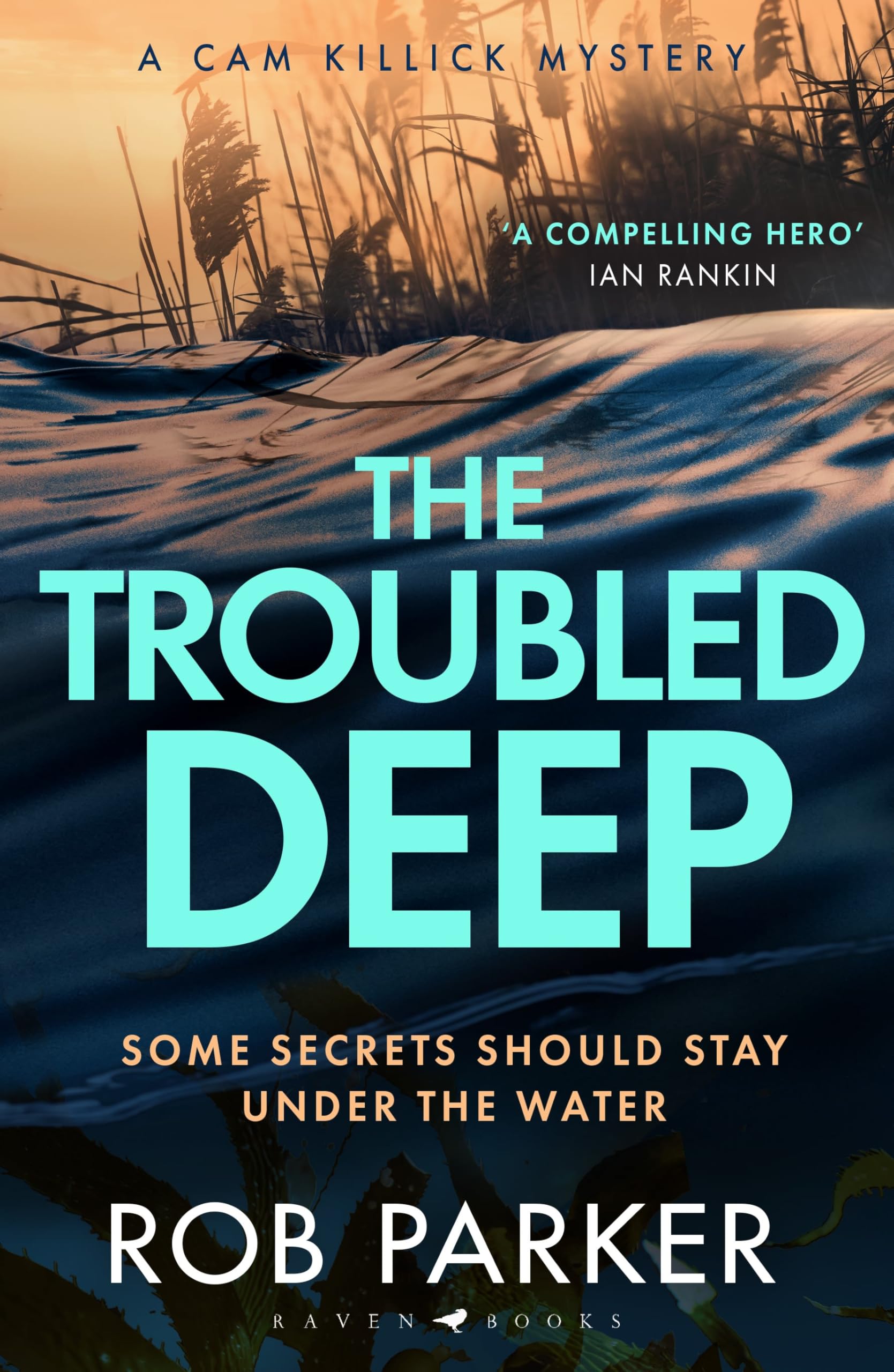 The Troubled Deep: 'The most brilliant Norfolk-set thriller since Elly Griffiths' Ruth Galloway books' Daily Mirror (Cam Killick Norfolk Mysteries) (English Edition)