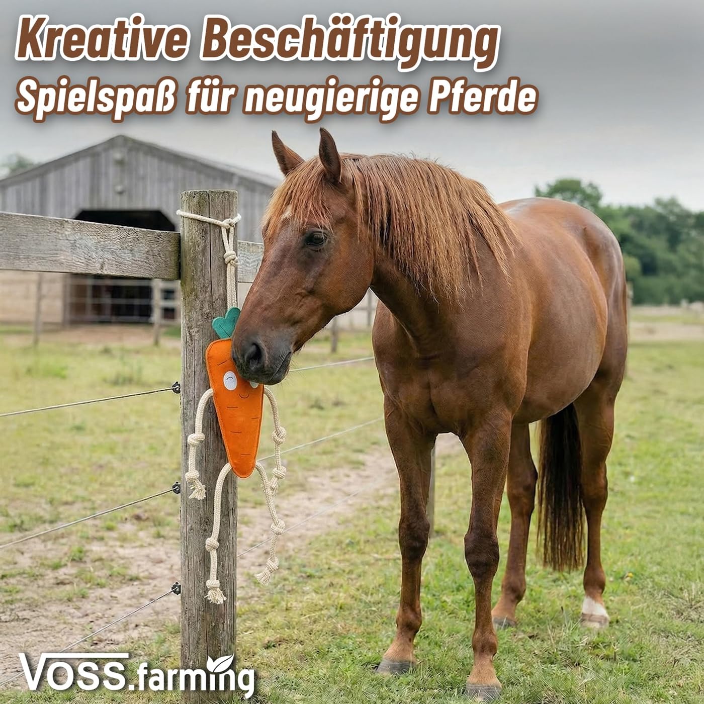 VOSS.farming 3X Pferdespielzeug Karotte 47cm aus Leder mit Knistergeräusch und Kokosfüllung