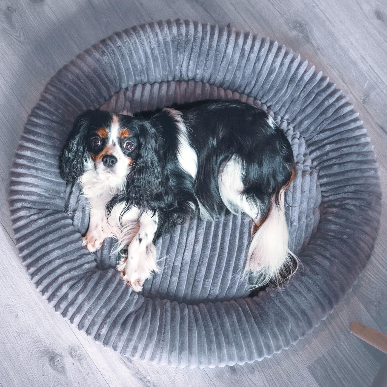 4L Textil Luna Lit pour chien douillet pour chiens de taille moyenne Corbeille pour chats peluche Panier pour chien pour chiens de taille moyenne Lit pour chien pour chiots Coussin pour chien Lit pour
