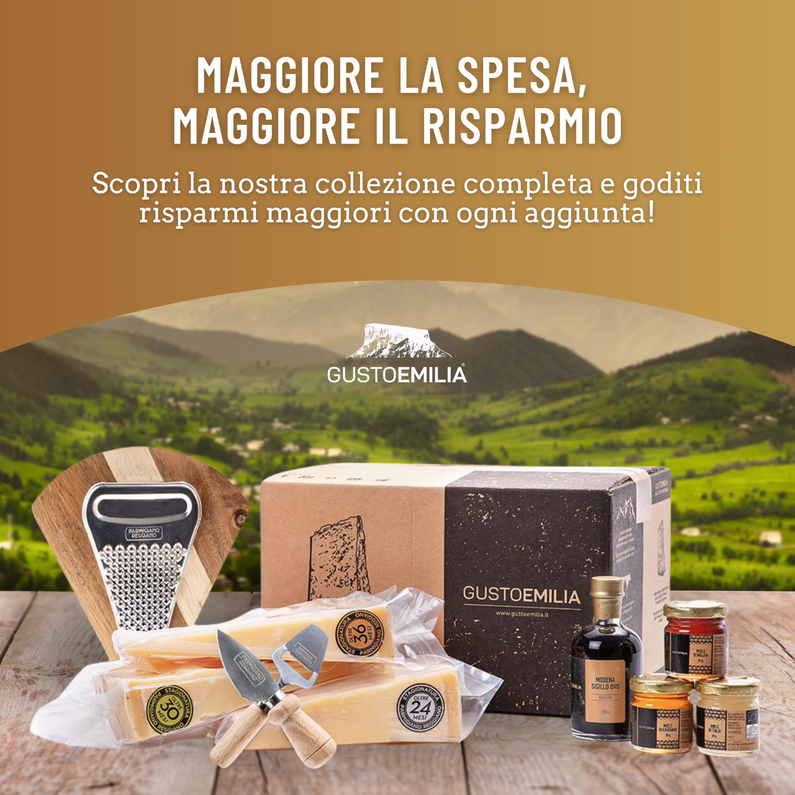 GUSTOEMILIA - Aceto Balsamico di Modena I.G.P. Autentico Tradizionale Invecchiato Qualità Sigillo Oro Bottiglia da 250 ml