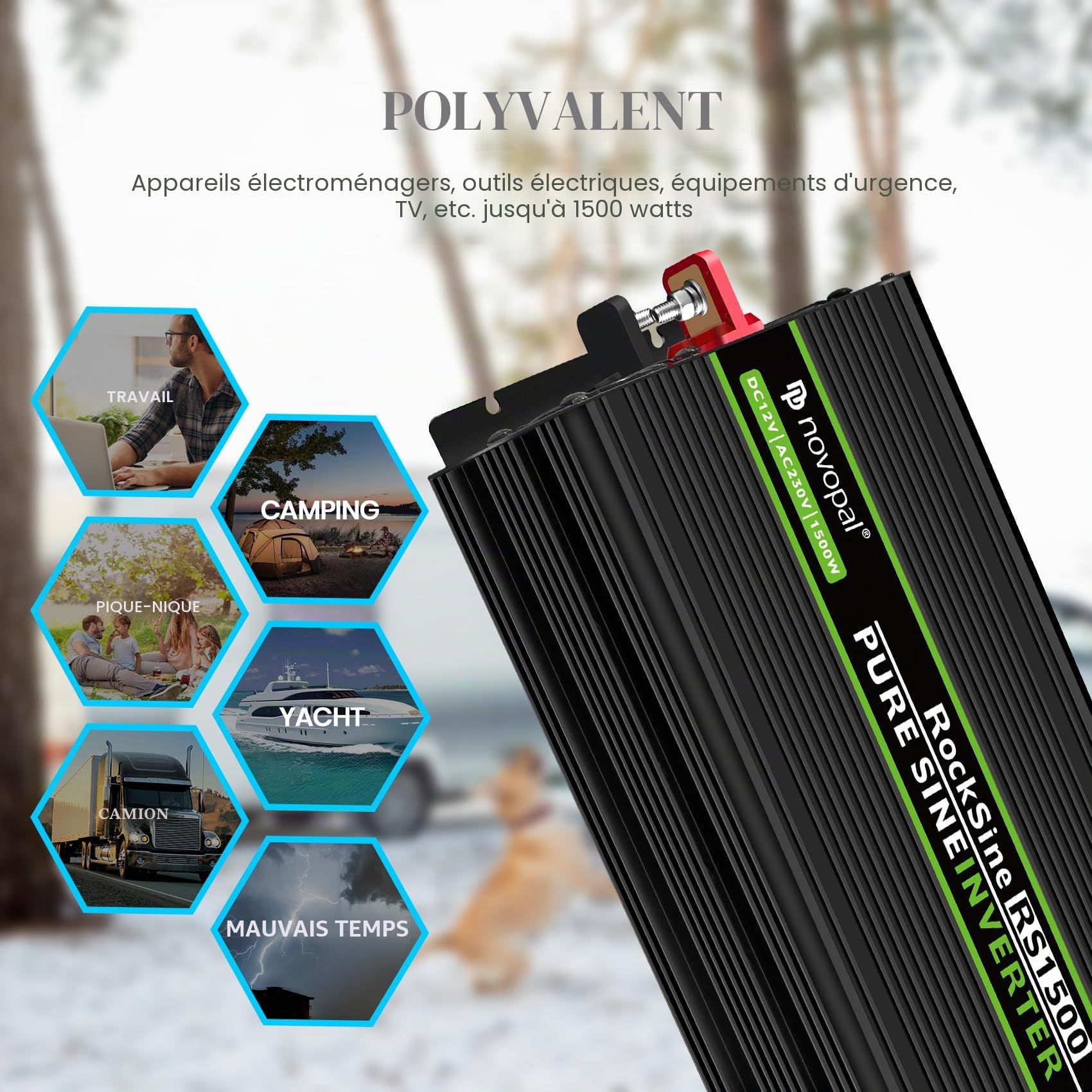NOVOPAL Convertisseur Pur Sinus 1500W-DC 12V à AC 220V/230V Onduleur-2 Prise EU de Courant Alternatif et 1 Port USB-télécommande avec INCL. 5 mètres-Puissance de Pointe 3000W transformateur de tension
